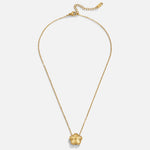 Collana dorata della fortuna